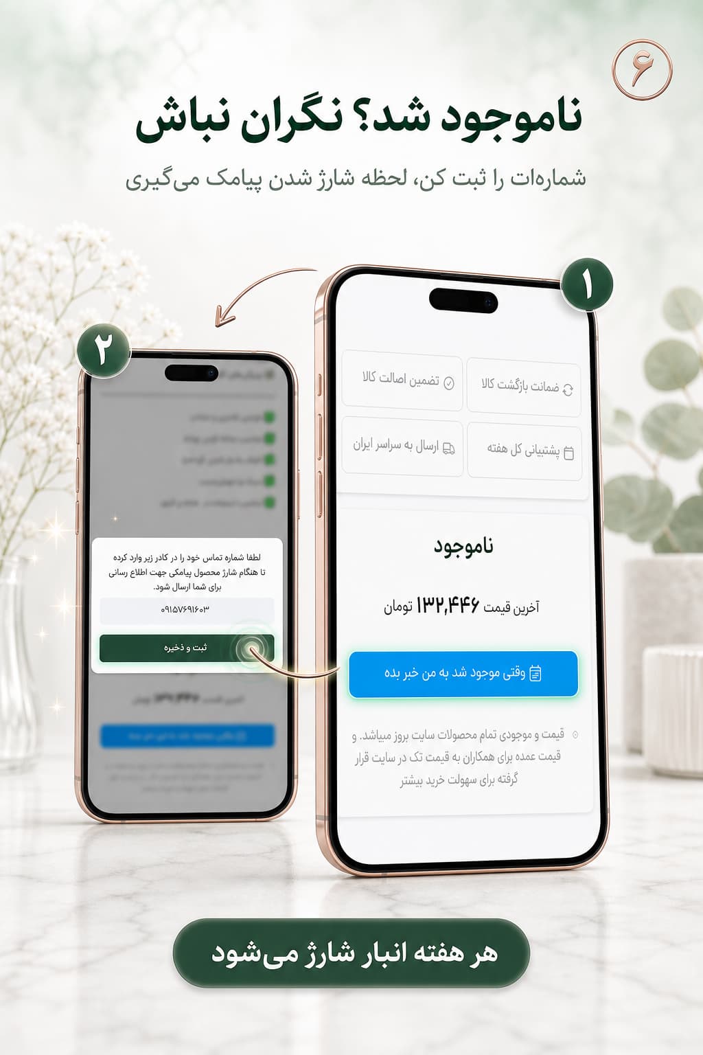 تازه‌ رسیدها